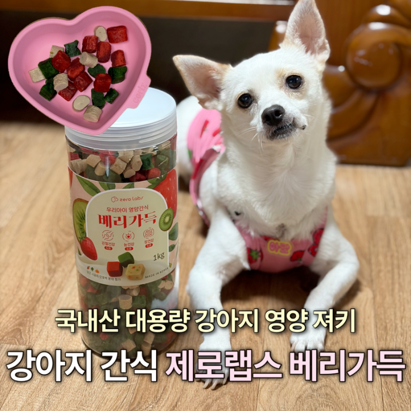 강아지간식추천! 제로랩스 베리가득 솔직후기 국내산 대용량 노즈워크간식
