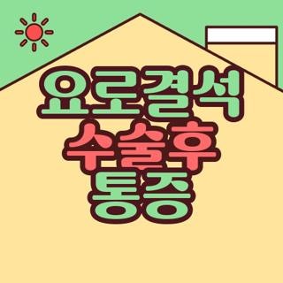 요로결석 수술후 통증 기간 대처법 직접 겪고 정리한 솔직 후기