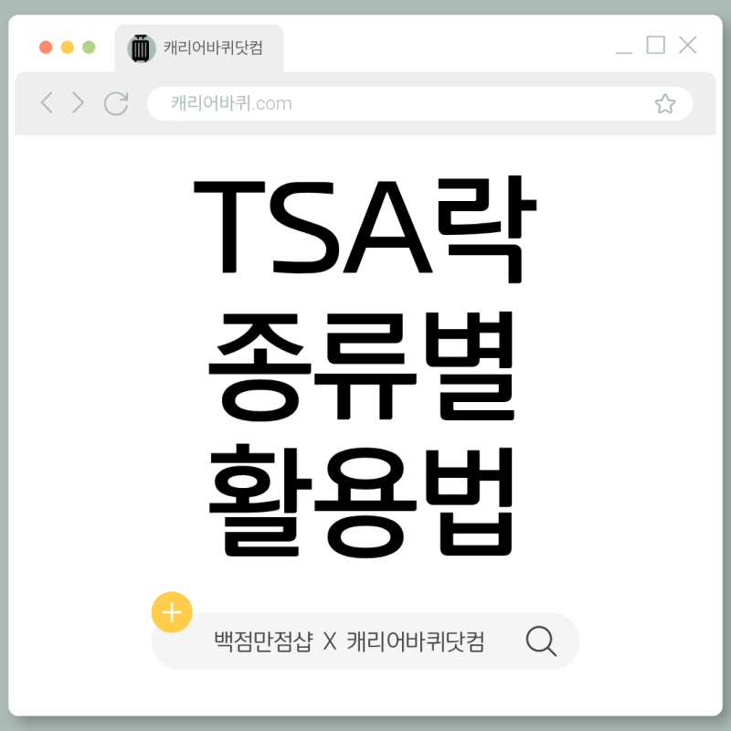 캐리어 자물쇠 고르실 때 참고하세요 (TSA락 총정리)