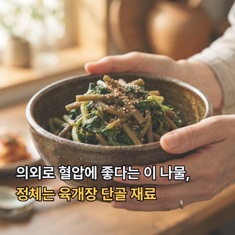 의외로 혈압에 좋다는 이 나물, 정체는 육개장 단골 재료