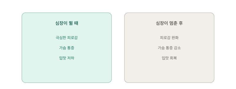 계류유산 원인, 직접 느낀 유산 증상 (염색체 이상, 피비침과의 관계)