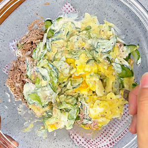 실패 없는 참치 샐러드 황금 레시피 | 마요네즈 없이 맛있는 다이어트 식단 | 오이 참치 에그 ....