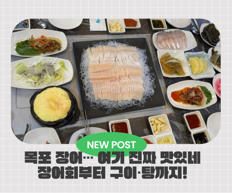 목포에서 장어 제대로 먹고 싶다면? 장어회·구이·탕까지 먹어본 솔직 후기