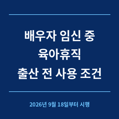 배우자 임신 중 육아휴직 출산 전 사용 조건, 총 기간, 급여, 분할 횟수까지 정리