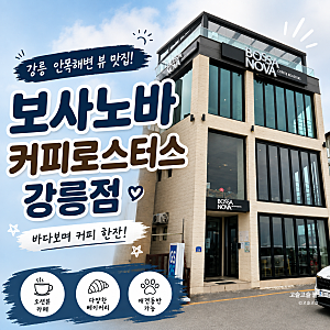 강릉 안목해변 카페 추천｜보사노바 커피로스터스 강릉점 내돈내산 후기
