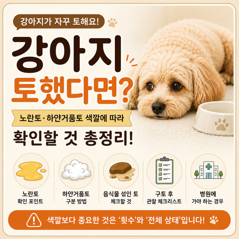강아지가 자꾸 토해요, 노란토·하얀거품토 색깔에 따라 확인할 것은?