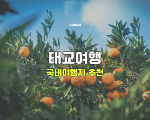 국내 태교여행 추천 여행지 BEST 5: 임산부가 편하게 쉬기 좋은 여행지 비교