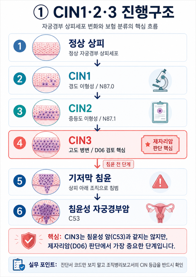 자궁경부이형성증 3단계(CIN3), 제자리암 D06 진단비 받을 수 있을까?