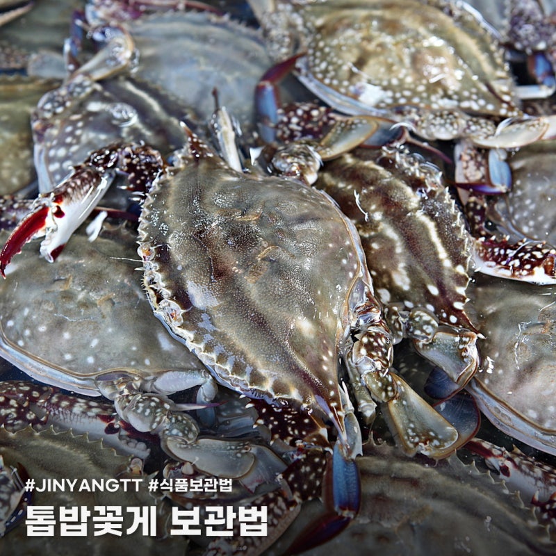 톱밥꽃게 보관법, 받자마자 "이것"부터 확인하세요!