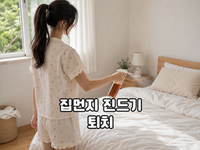 집먼지 진드기 퇴치법, 생기는 이유와 퇴치 방법