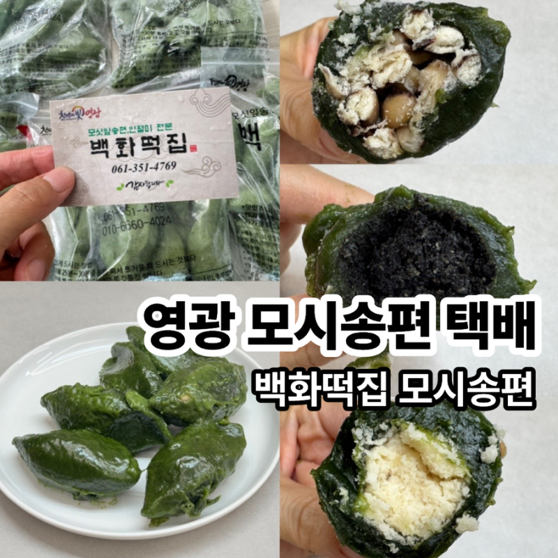 영광 백화떡집 모시송편! 직접 재배한 모싯잎으로 첨가물 없이 만든 건강한 떡 택배 & 맛 후....