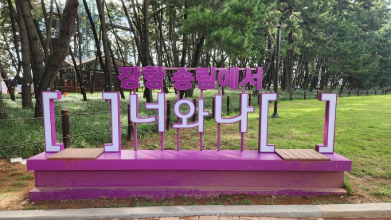 [충남 서천] 맥문동축제 실시간 개화 상태 방문후기