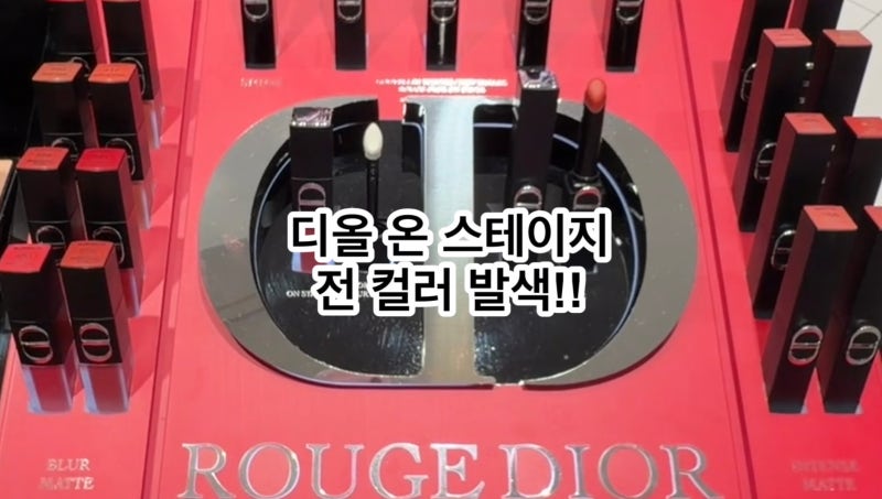 [ 지름보고 ] 루즈 디올 온 스테이지 잉크 블러 매트 & 매트 립스틱 전 컬러 발색!!