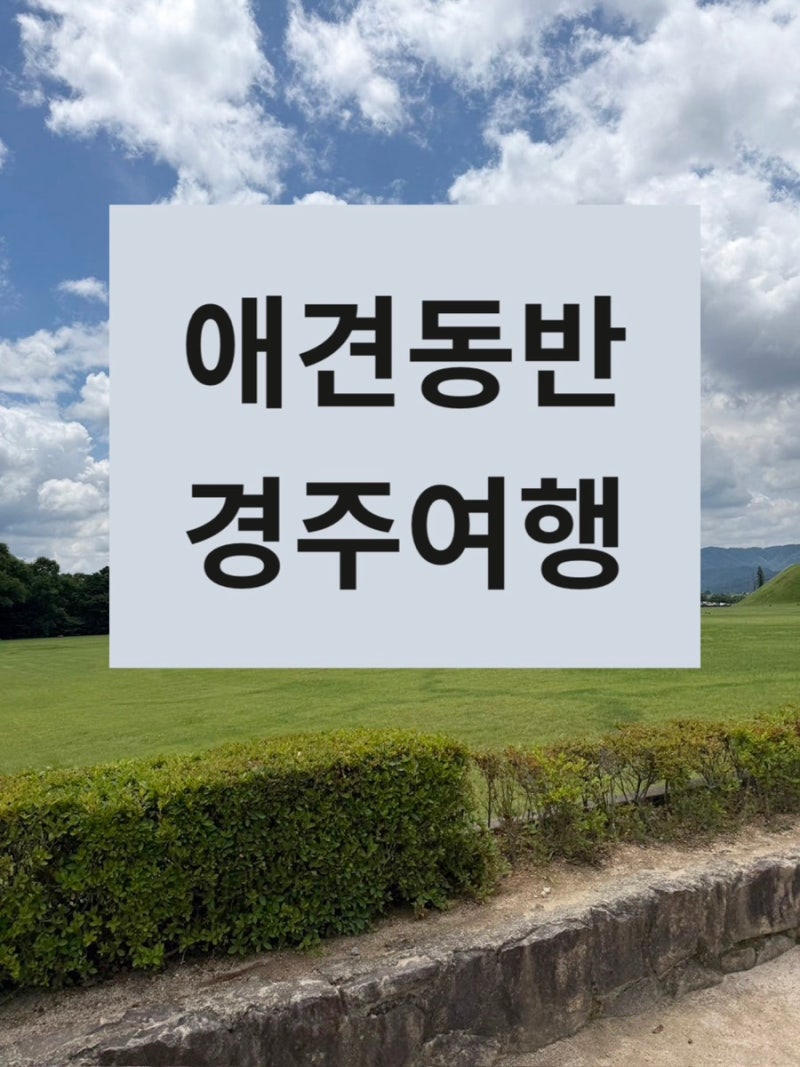 [애견동반 경주여행] 첨성대 / 애견동반식당 료미 / 황리단길 커들리 하우스 / 키녹 호텔