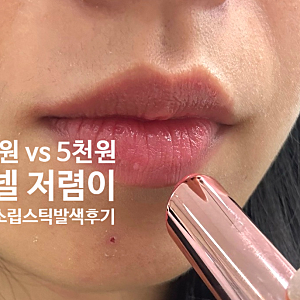 샤넬 쥬르 저렴이라더니.. 다이소 5천원 바이플라워 프로테아 립스틱 실사용 후기(요플레 현....