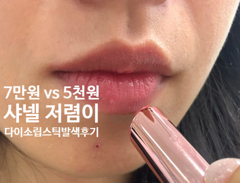 샤넬 쥬르 저렴이라더니.. 다이소 5천원 바이플라워 프로테아 립스틱 실사용 후기(요플레 현....