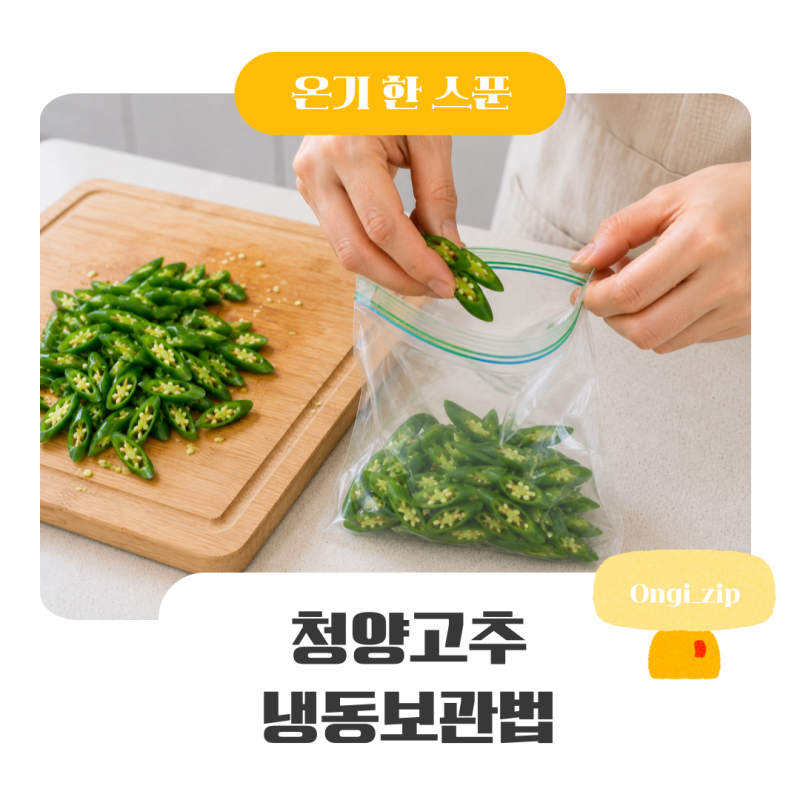 청양고추 냉동보관법 오래 두고 먹기 좋은 소분 꿀팁
