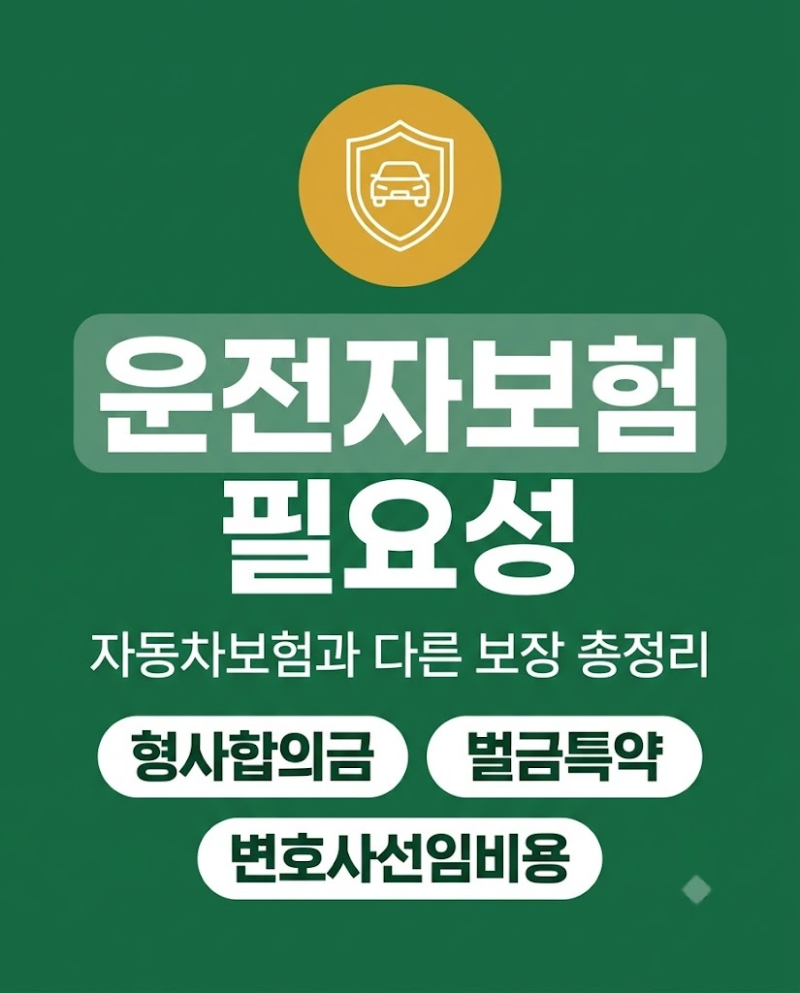 운전자보험 필요성 자동차보험과 다른 보장 총정리