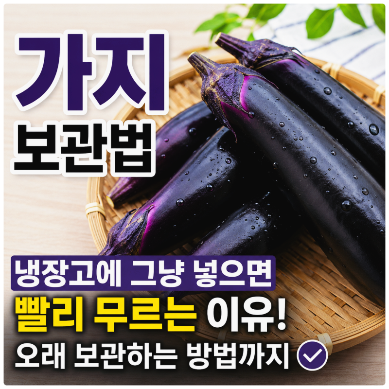 가지 보관법｜냉장고에 그냥 넣으면 빨리 무르는 이유와 오래 보관하는 방법
