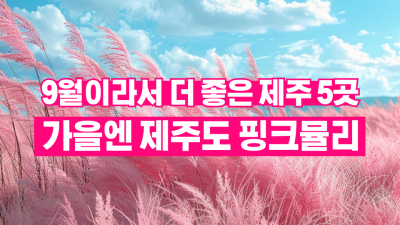BEST 5 Places to Visit in Jeju in September | Jeju is Even Better in September