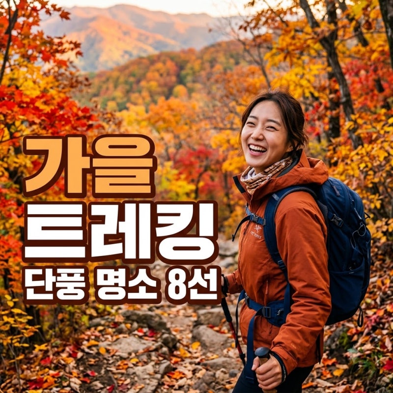 "단풍 놓치면 1년 후회" 난이도별 가을 트레킹 명소 8선 | 가을 단풍 등산코스 걷기 좋은 길