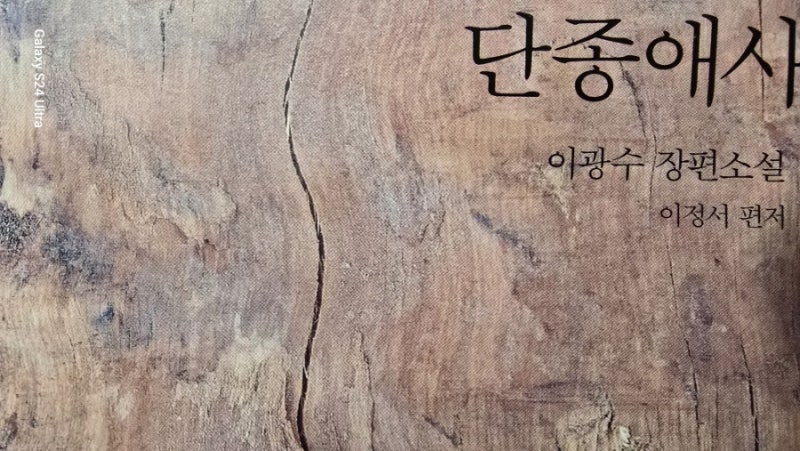 이광수의 단종애사