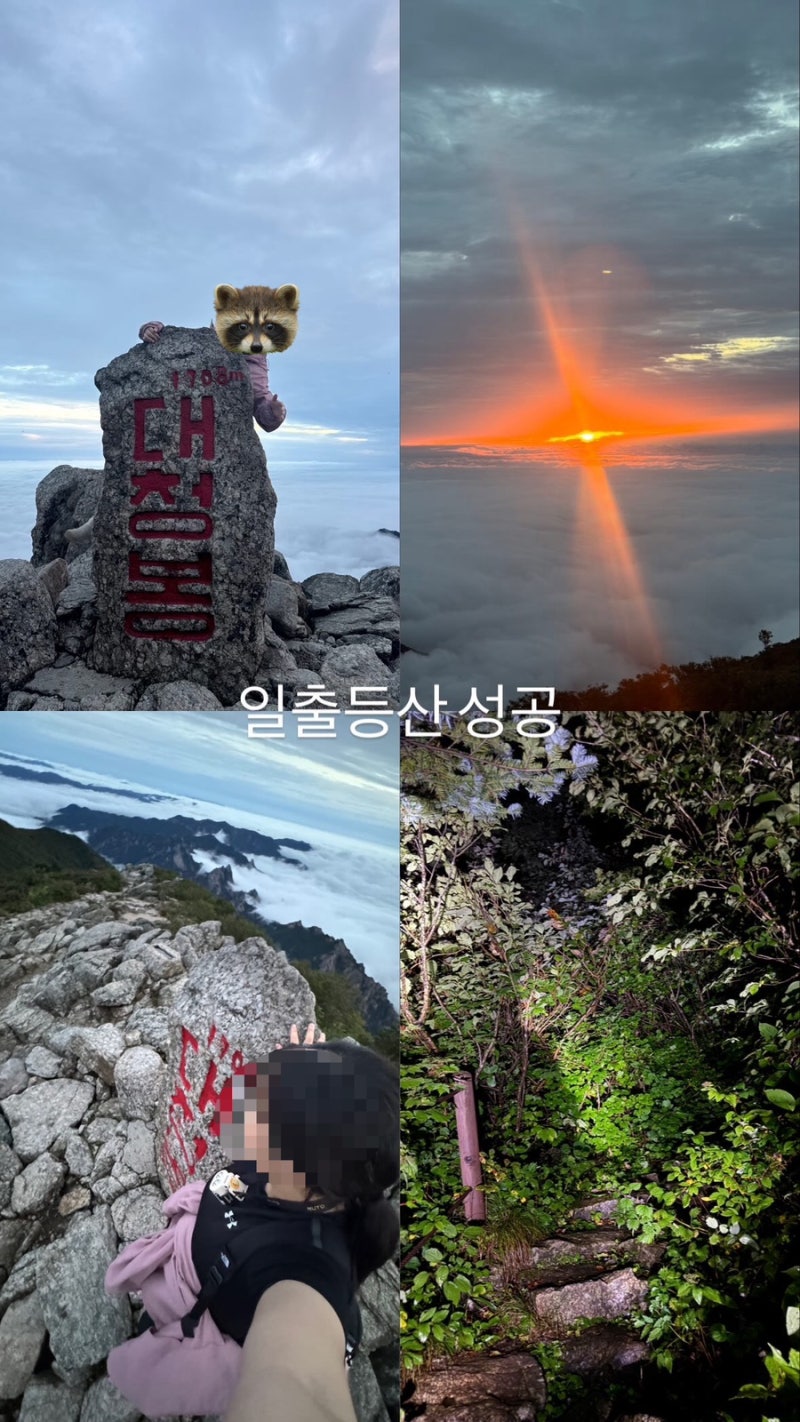 설악산 등산일지: 등린이의 설악산 1박2일 등산 백담사~영시암~봉정암~소청대피소~대청봉(2608....