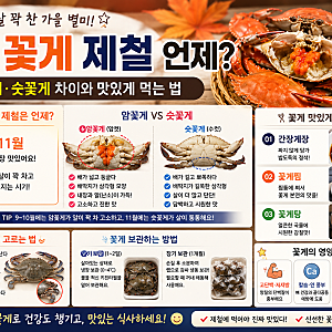 가을 꽃게 제철 언제?｜암꽃게·숫꽃게 차이와 맛있게 먹는 법