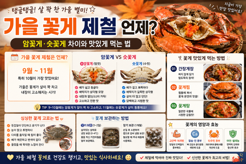 가을 꽃게 제철 언제?｜암꽃게·숫꽃게 차이와 맛있게 먹는 법