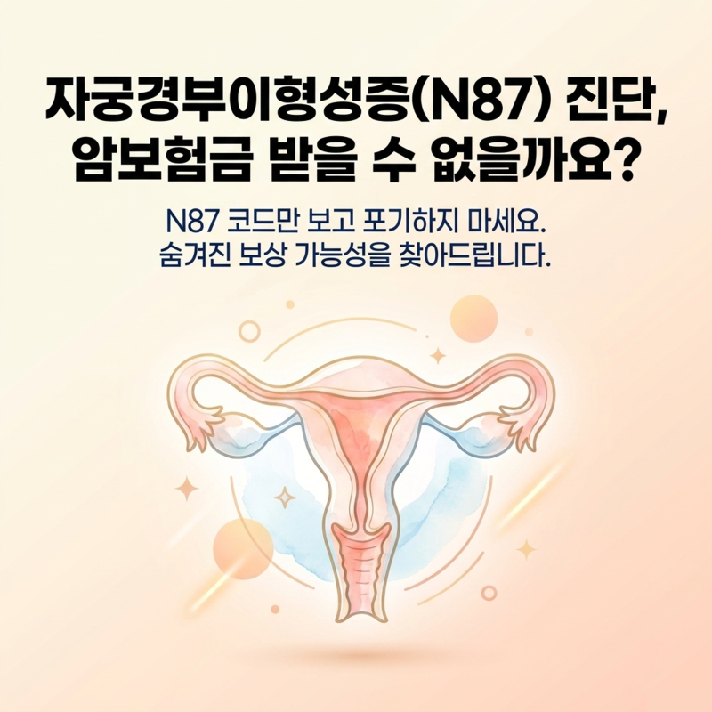 자궁경부이형성증 보험금, N87 진단만으로 결정되지 않는 이유