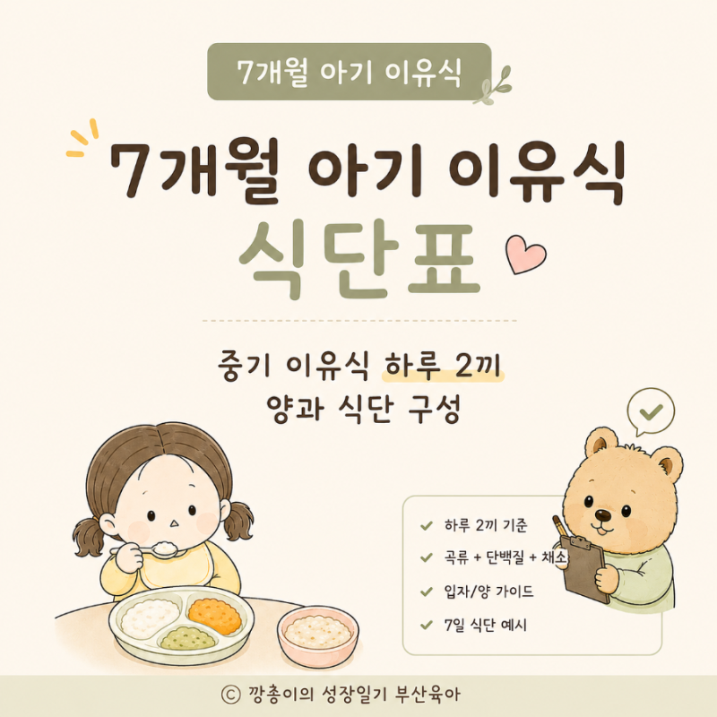 7개월 아기 이유식 식단표｜중기 이유식 하루 2끼 양과 식단 구성