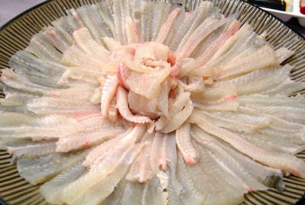 9월에 맛있는 생선회는? 제철 해산물 횟감 9가지