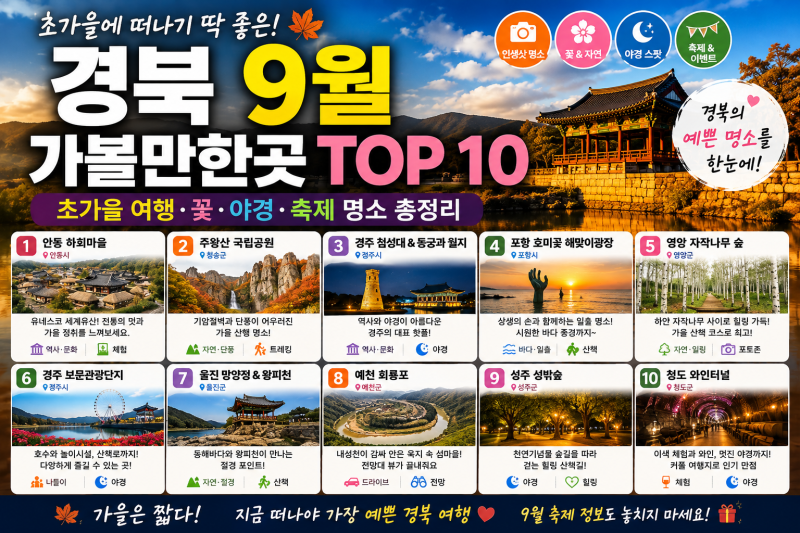 경북 9월 가볼만한곳 TOP 10｜초가을 여행·꽃·야경·축제 명소 총정리