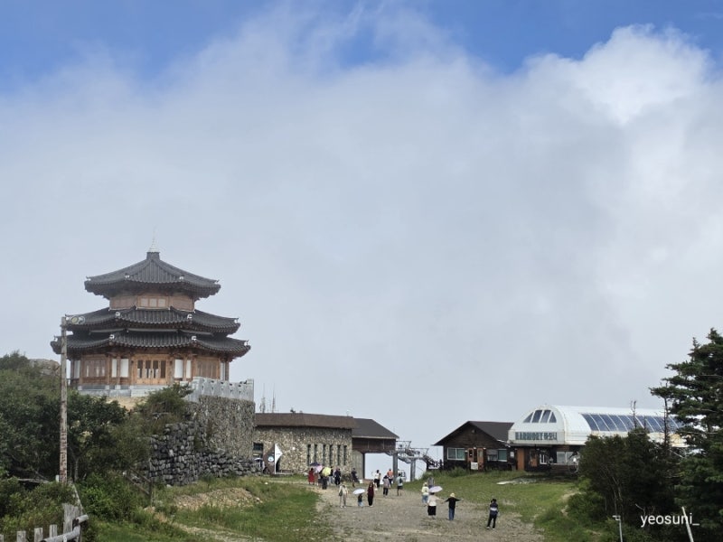 전북 무주 | 여름 무주 가볼만한곳 덕유산 관광곤도라 설천봉 향적봉 소요시간 총정리