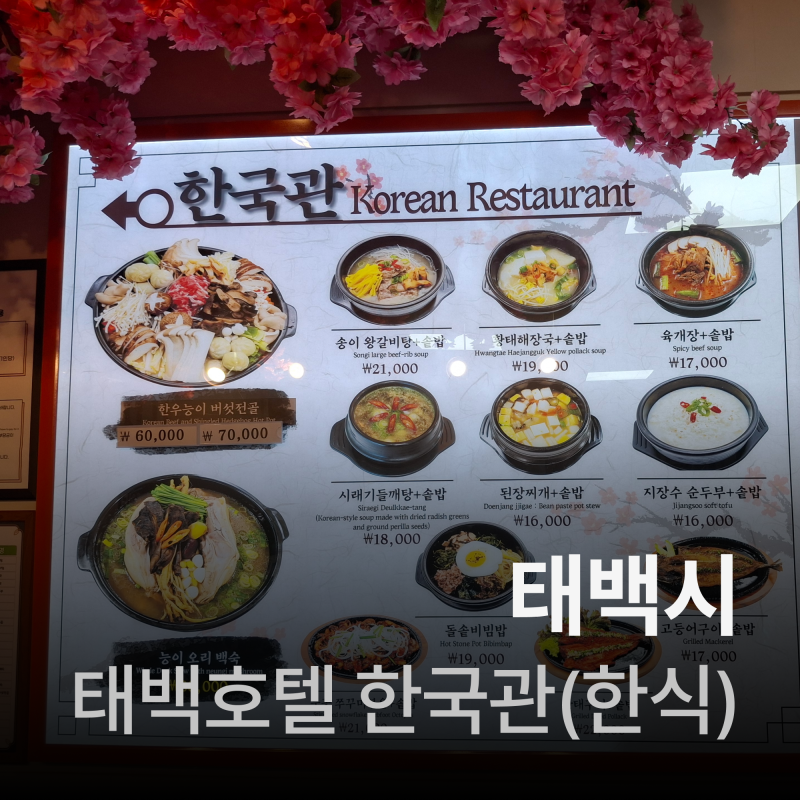 태백여행(태백호텔 한국관 이용후기/태백눈꽃야영장/태백호텔워터풀)