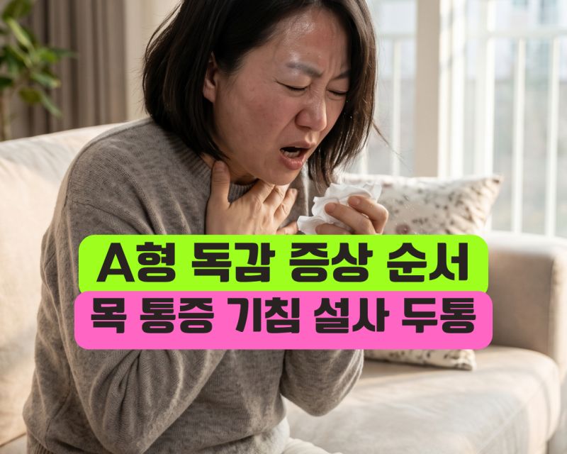 A형 독감 증상 순서 시간 목통증 열 설사 두통 기침 잠복기간 타미플루 수액 약 완벽정리