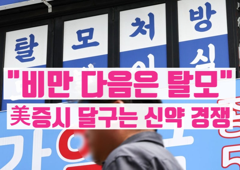 “비만 다음은 탈모” 美 증시 달구는 신약 경쟁…베라더믹스 500%·앱사이 200% 급등한 이유