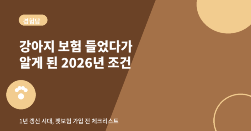 우리 강아지 보험 들었다가 알게 된 2026년 펫보험의 진짜 조건