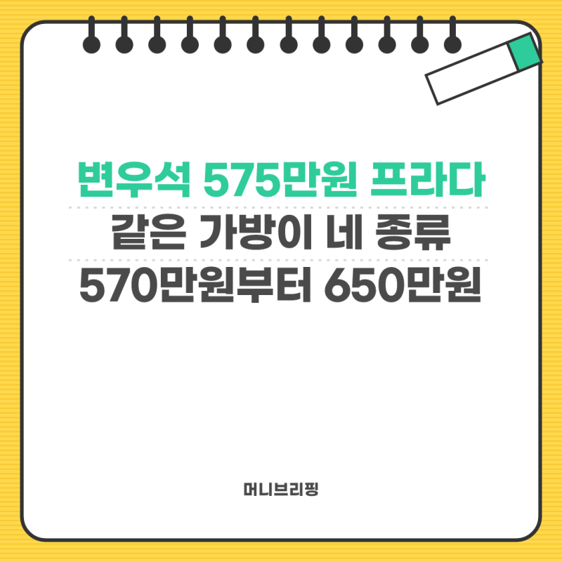 변우석 575만원 프라다 토트백 정체, 같은 가방 가죽 버전은 650만원이다