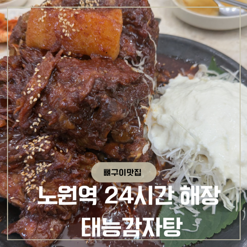 노원역 맛집 태능감자탕 노원본점｜24시간 영업 뼈구이 후기
