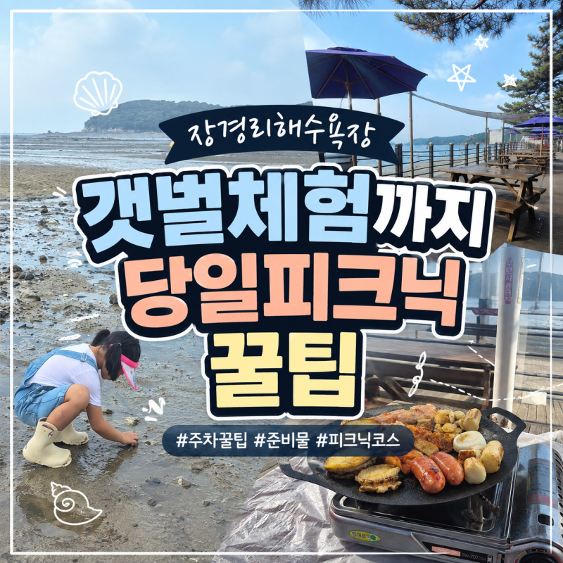 영흥도 장경리해수욕장 피크닉존 당일치기 무료 갯벌체험 완벽총정리