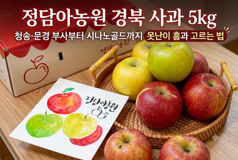 정담아농원 경북 사과 5kg｜청송·문경 부사부터 시나노골드까지 못난이 흠과 고르는 법