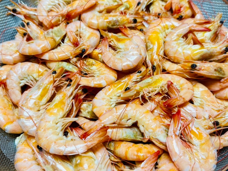 안면도 새우 직판장 한바위수산, 양식장에서 바로 구매한 싱싱한 왕새우