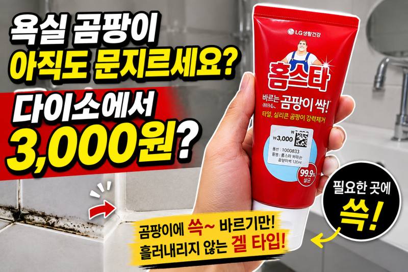 실리콘 검은 곰팡이 때문에 스트레스라면? 다이소에서 이거 사세요