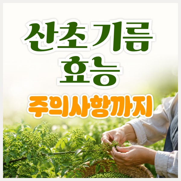 산초기름 효능과 부작용, 먹기 전에 알아둘 섭취법과 주의사항