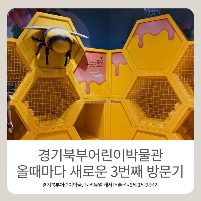 경기북부어린이박물관 | 5세 때도 6세 때 와도 만족스러운 3번째 방문기