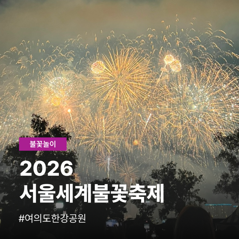 여의도 서울세계불꽃축제 명당 여의도한강공원 시야, 꿀팁 어플 총정리