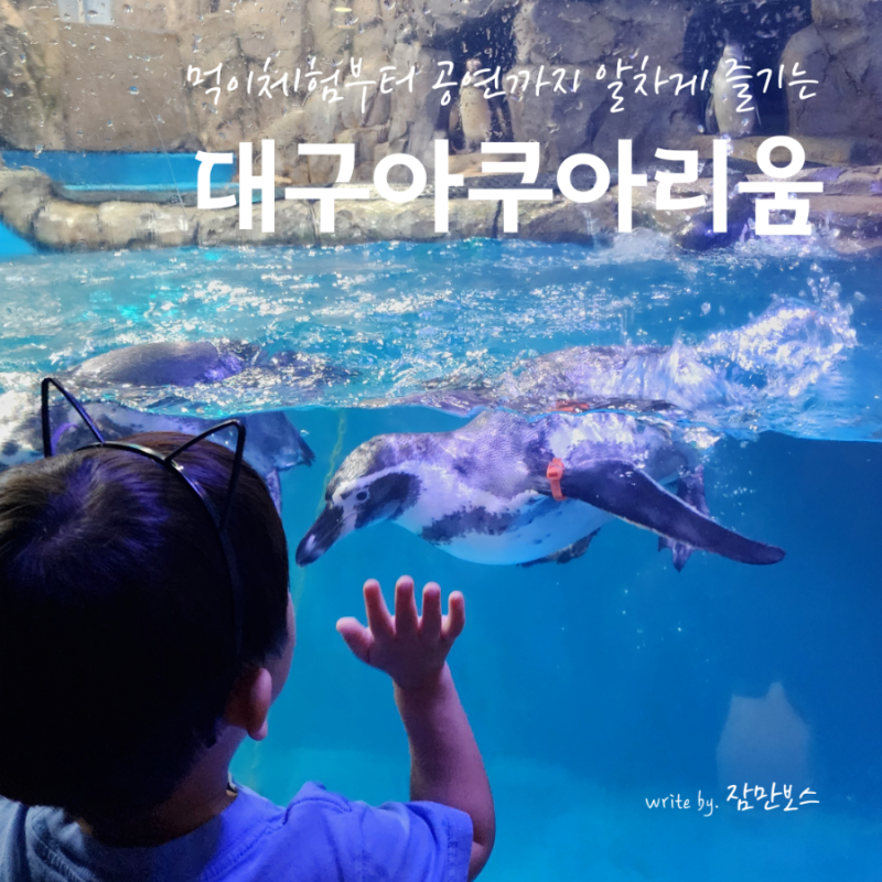 아이랑 대구실내데이트 대구아쿠아리움 (입장료 할인, 주차, 공연시간, 먹이체험 꿀팁)