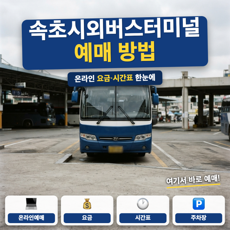 속초 시외버스터미널 예매 방법 총정리 (+ 동서울 요금, 온라인 예매 사이트)