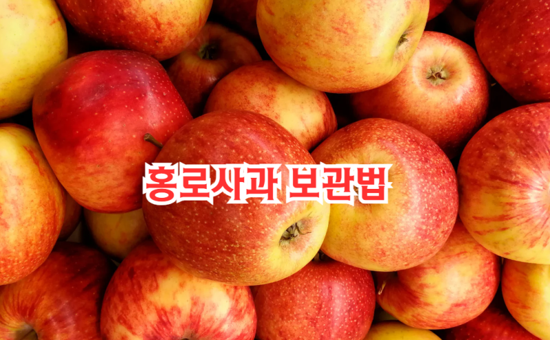 홍로사과 보관법, 아삭함 오래 살리는 냉장보관 꿀팁